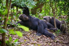 TanzanieUganda_0354_web