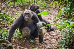 TanzanieUganda_0355_web