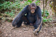 TanzanieUganda_0356_web