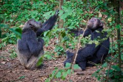 TanzanieUganda_0357_web
