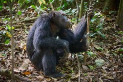 TanzanieUganda_0358_web