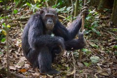 TanzanieUganda_0359_web