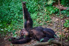 TanzanieUganda_0360_web