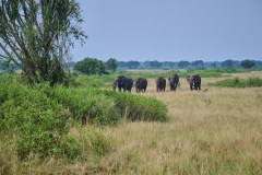 TanzanieUganda_0363_web