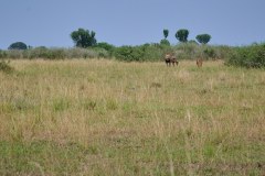 TanzanieUganda_0364_web