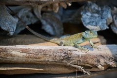 TanzanieUganda_0365_web