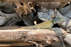 TanzanieUganda_0366_web
