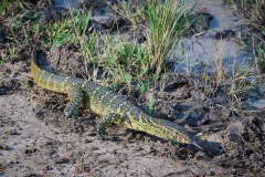 TanzanieUganda_0369_web