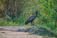 TanzanieUganda_0370_web