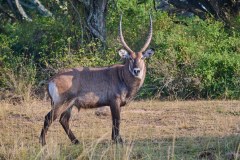 TanzanieUganda_0371_web