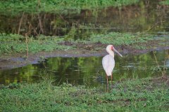 TanzanieUganda_0372_web