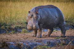 TanzanieUganda_0374_web