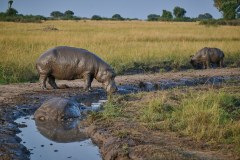 TanzanieUganda_0375_web