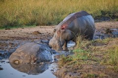 TanzanieUganda_0376_web