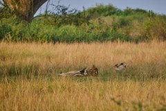 TanzanieUganda_0377_web