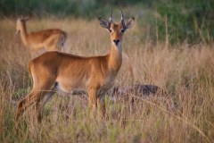 TanzanieUganda_0378_web