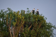 TanzanieUganda_0379_web