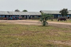 TanzanieUganda_0381_web