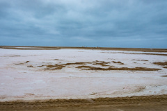 DSC_4776