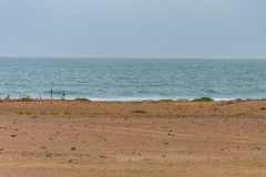 DSC_4779