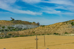 DSC_6924