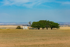 DSC_6935