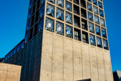 DSC_8483